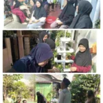 Grogol Selatan RW 09 Boosts Food Security with Urban Farming