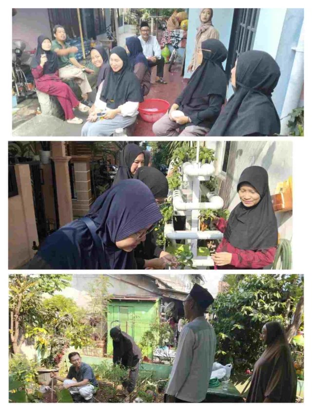 Grogol Selatan RW 09 Boosts Food Security with Urban Farming