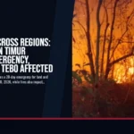 Fires Rage Across Regions: Kotawaringin Timur Declares Emergency, Sanggau and Tebo Affected