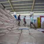 Bulog Sumsel-Babel Reaches 68% Paddy Absorption Target for 2026