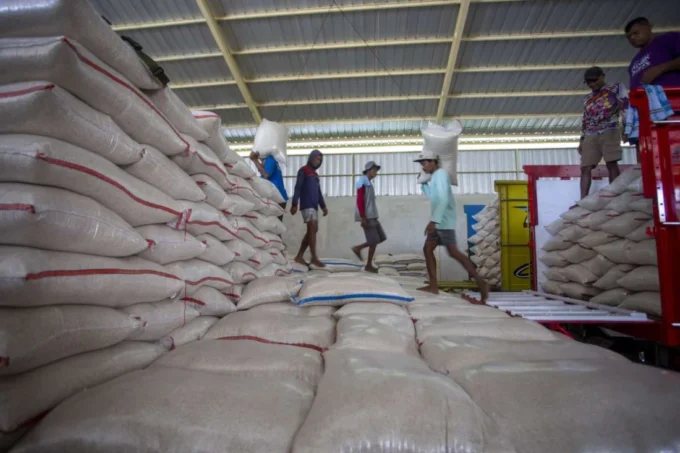 Bulog Sumsel-Babel Reaches 68% Paddy Absorption Target for 2026