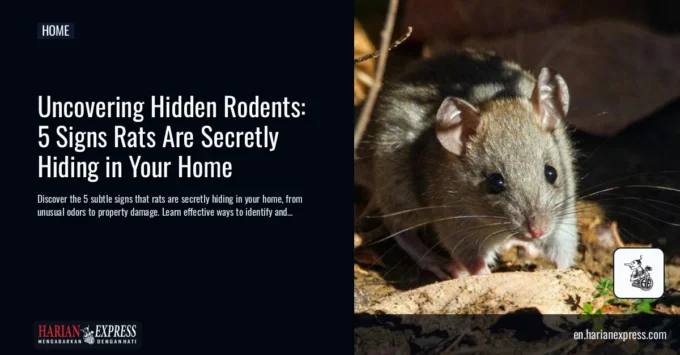 Uncovering Hidden Rodents: 5 Signs Rats Are Secretly Hiding in Your Home