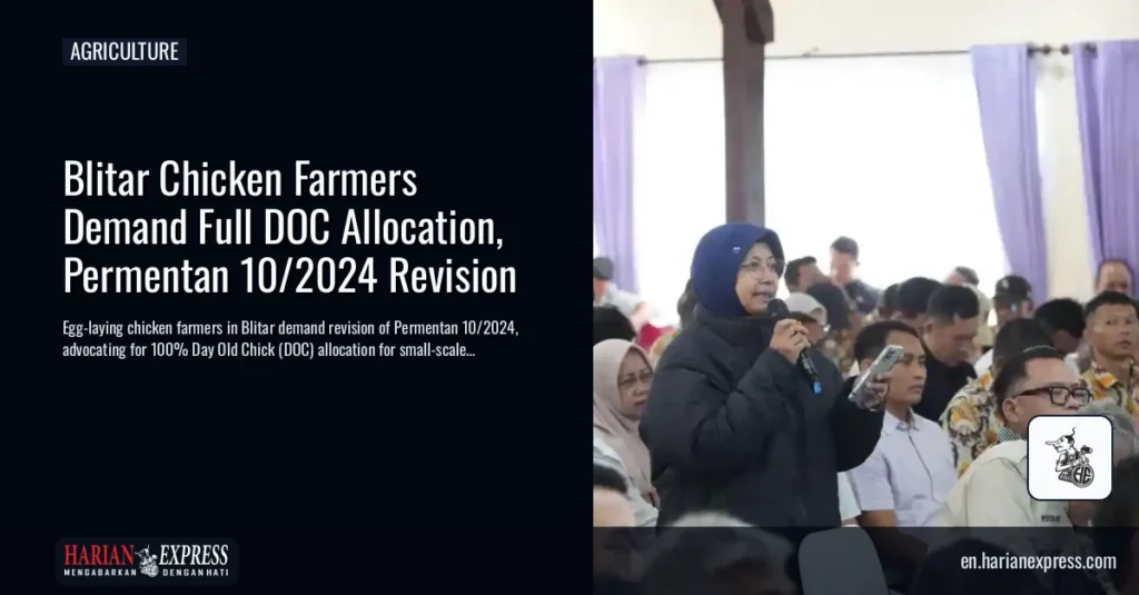 Blitar Chicken Farmers Demand Full DOC Allocation, Permentan 10/2024 Revision