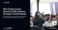 Blitar Chicken Farmers Demand Full DOC Allocation, Permentan 10/2024 Revision
