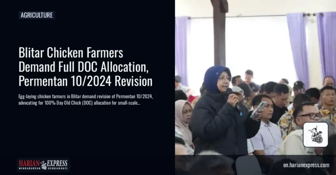 Blitar Chicken Farmers Demand Full DOC Allocation, Permentan 10/2024 Revision