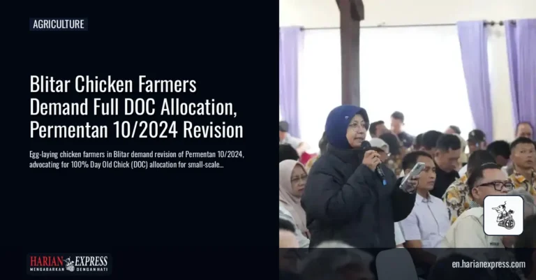 Blitar Chicken Farmers Demand Full DOC Allocation, Permentan 10/2024 Revision