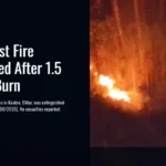 Blitar Forest Fire Extinguished After 1.5 Hectares Burn