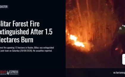 Blitar Forest Fire Extinguished After 1.5 Hectares Burn