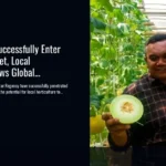 Blitar Melons Successfully Enter Singapore Market, Local Agriculture Shows Global Potential