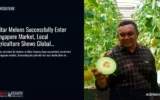 Blitar Melons Successfully Enter Singapore Market, Local Agriculture Shows Global Potential