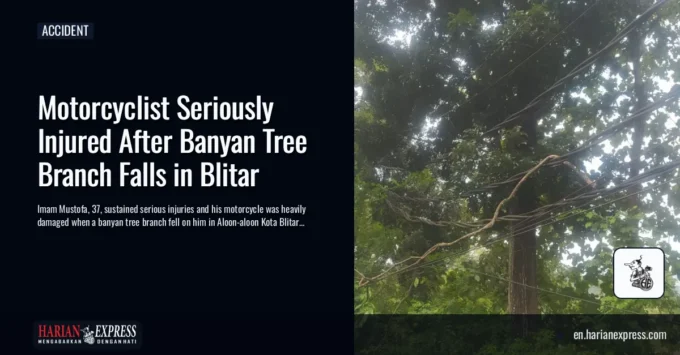 Motorcyclist Seriously Injured After Banyan Tree Branch Falls in Blitar