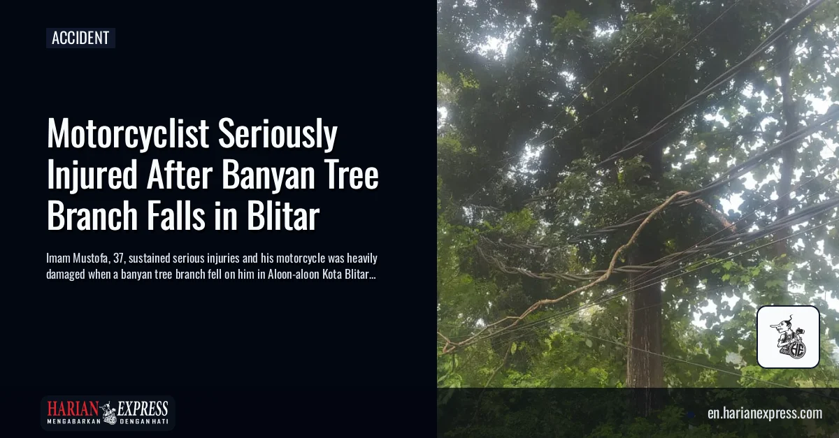 Motorcyclist Seriously Injured After Banyan Tree Branch Falls in Blitar
