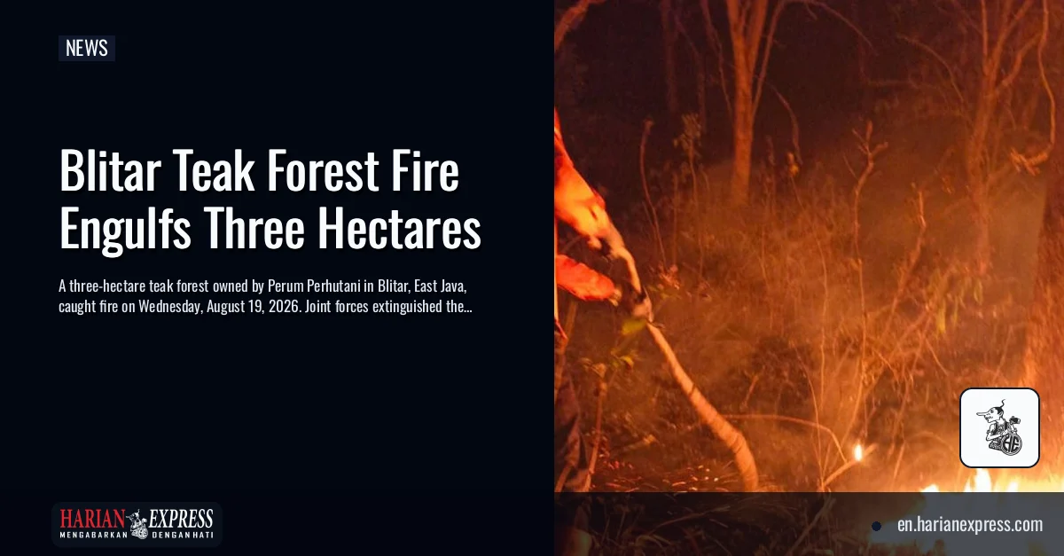 Blitar Teak Forest Fire Engulfs Three Hectares