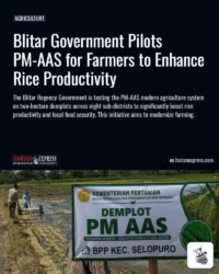 Blitar Government Pilots PM-AAS for Farmers to Enhance Rice Productivity