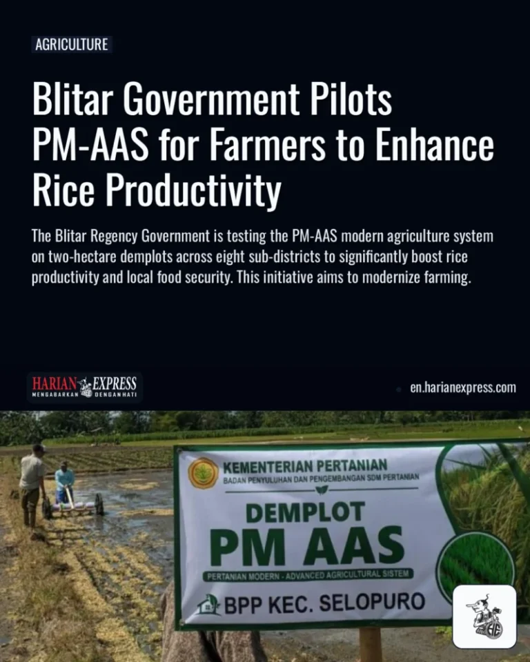 Blitar Government Pilots PM-AAS for Farmers to Enhance Rice Productivity