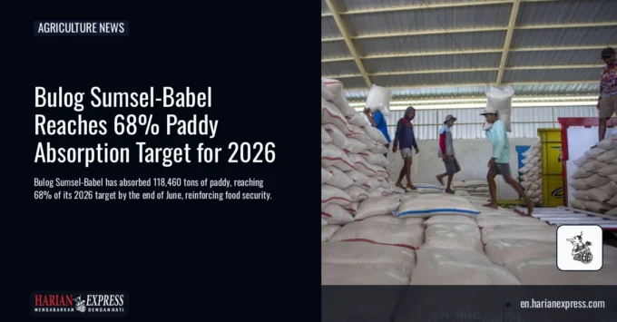 Bulog Sumsel-Babel Reaches 68% Paddy Absorption Target for 2026
