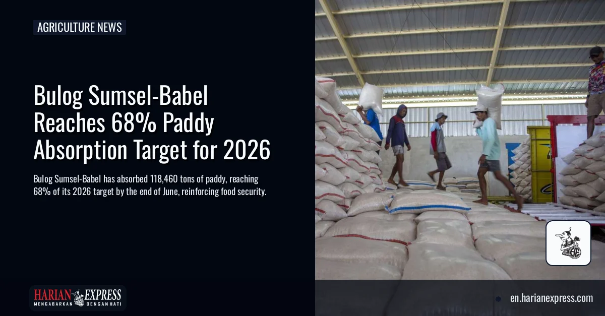 Bulog Sumsel-Babel Reaches 68% Paddy Absorption Target for 2026
