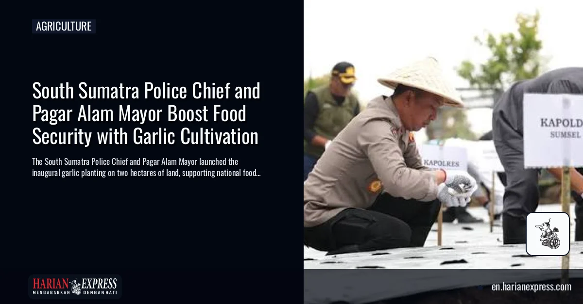 South Sumatra Police Chief and Pagar Alam Mayor Boost Food Security with Garlic Cultivation