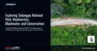 Exploring Sebangau National Park: Biodiversity, Blackwater, and Conservation