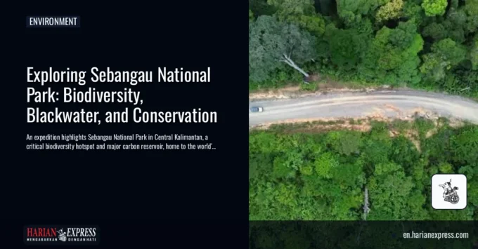 Exploring Sebangau National Park: Biodiversity, Blackwater, and Conservation