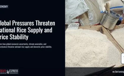 Global Pressures Threaten National Rice Supply and Price Stability