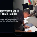 Interpol Fugitive Involved in Large-Scale Fraud Handed Over