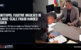 Interpol Fugitive Involved in Large-Scale Fraud Handed Over