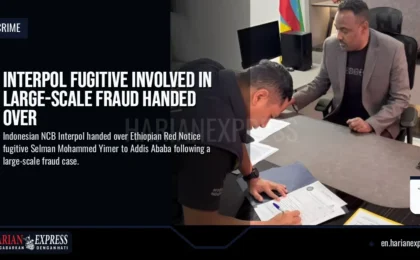 Interpol Fugitive Involved in Large-Scale Fraud Handed Over