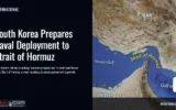 South Korea Prepares Naval Deployment to Strait of Hormuz